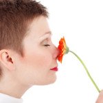 Die Nase – mehr als nur ein Riechorgan Die Nase – mehr als nur ein Riechorgan