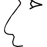 Verstopfte Nase und Nebenhöhlen Verstopfte Nase und Nebenhöhlen